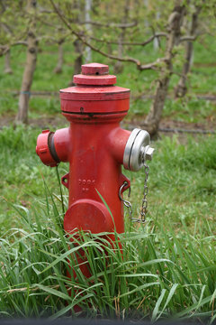 idrante