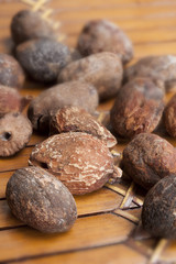 shea nuts near butter on white background