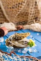 Fresh oyster on ice on a blue wooden table