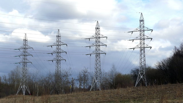 4 supports for the electric line through the trees in summer