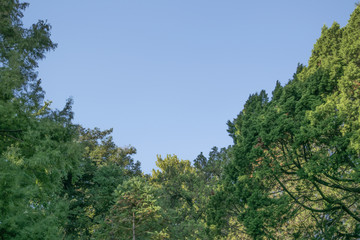 Montevideo Botanical Garden