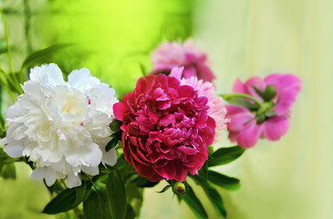  peonies on the window