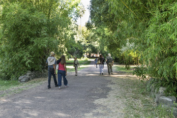 Fototapeta premium People at Botanical Garden