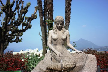 Fototapeta na wymiar Es ist Frühling die Meerjungfrau von Stresa am Lago Maggiore