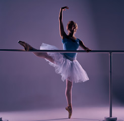 classic ballerina posing at ballet barre