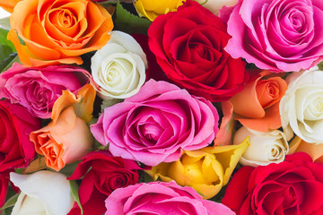 bouquet of fresh roses