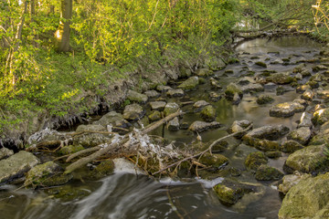 Fließendes Wasser im verschmutzten Bach