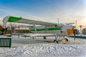 Plane covered snow