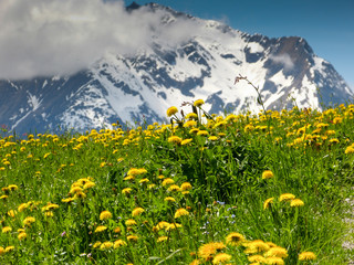 Fr&uuml;hling in den Bergen