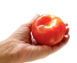 big red tomato in a hand, isolated