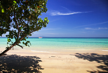 Untouched tropical beach, Thailand