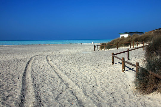 Toscana, Vada,la spiaggia