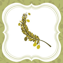 Olive oil design