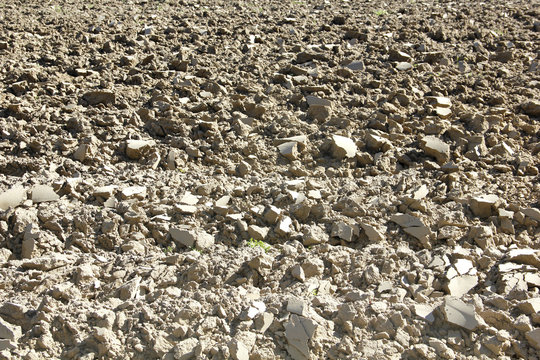 Dry ploned ground