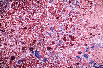 Colorful abstract texture, can be use as background 