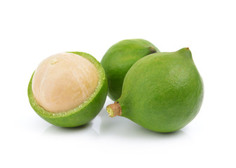 fresh macadamia nut on a white background