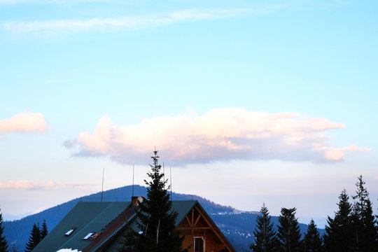View of buildings over spruce and blue sky in wintertime