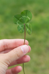 Fototapeta na wymiar Four-leaf clover in hand vertical