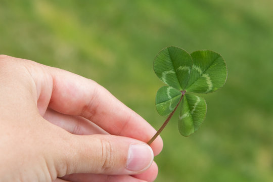 Four-leaf clover in hand horizontal on a green
