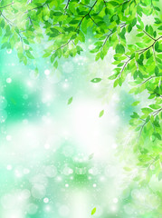 Obraz premium 葉 新緑 背景