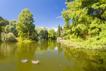 Pond in a botanic garden