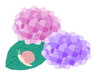 紫陽花とカタツムリのイラスト