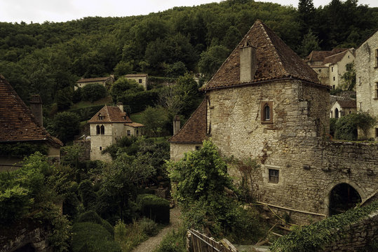 24 Best サンシルラポピー Images Stock Photos Vectors Adobe Stock