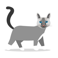 Cat design.