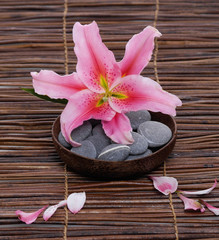 Lily with gray stones in wooden bowl on mat 