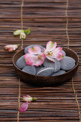 Beautiful orchid with gray stones in bowl with bud on mat texture