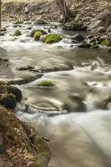 Misty Woodland Waterfall