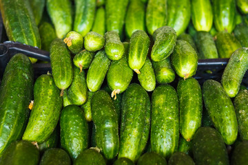 Cucumbers For Sale On Market Place