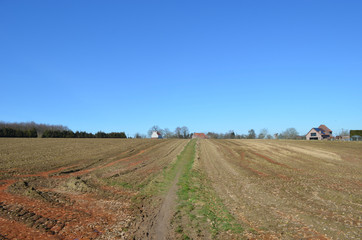 Fototapeta na wymiar Path through agricultural field, Hallerbos