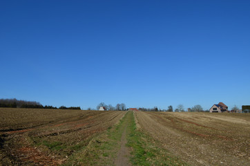 Fototapeta na wymiar Path through agricultural field, Hallerbos