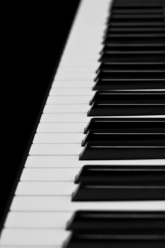 Piano keys closeup in black and white