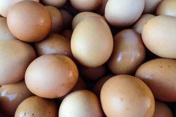 Background of fresh eggs.