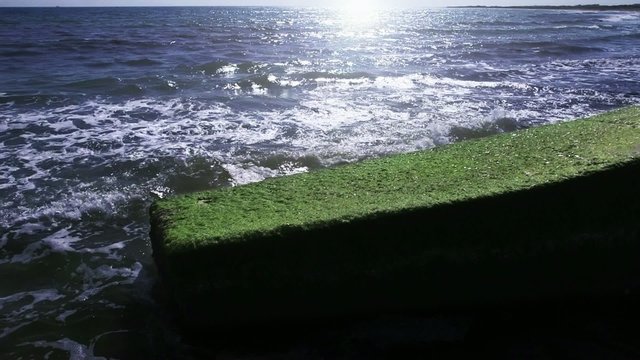 Frangiflutto coperto da alghe verdi