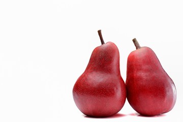 Pere Williams or Bartlett