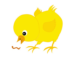 Cute chick with worm