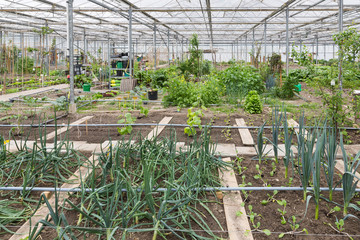 Greenhouse with several small vegetable gardens