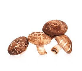Fresh mushrooms  isolated