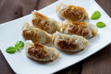Glass plate with pan fried gyoza, close-up, studio shot