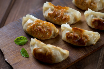 Close-up of japanese traditional gyoza dumplings, studio shot