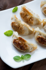 Close-up of pan fried gyoza dumplings, selective focus