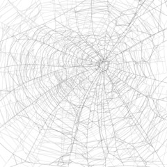 dense grey spider web