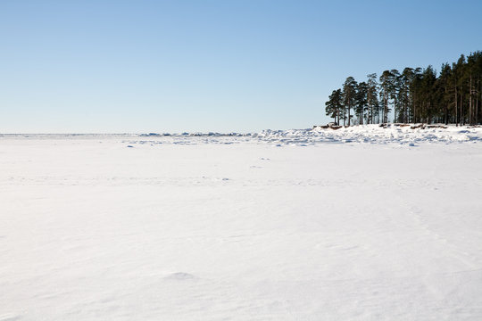 snow field