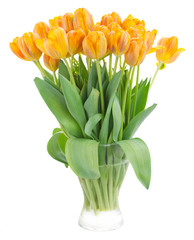 bouquet of  rorange  tulip flowers