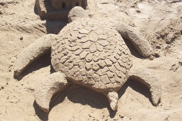 Turtle Sand