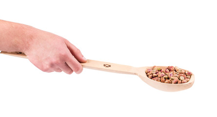 Hand holding spoon with pistachios.