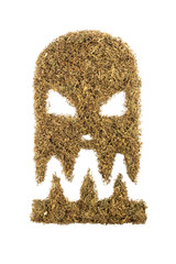 Tobacco face devil isolated on white background - concept of da